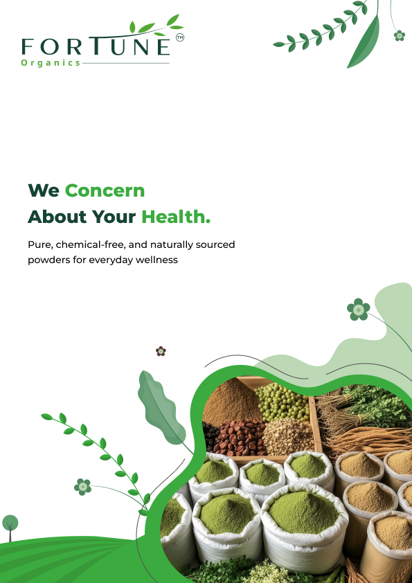 Product brochure — multi-page print design.