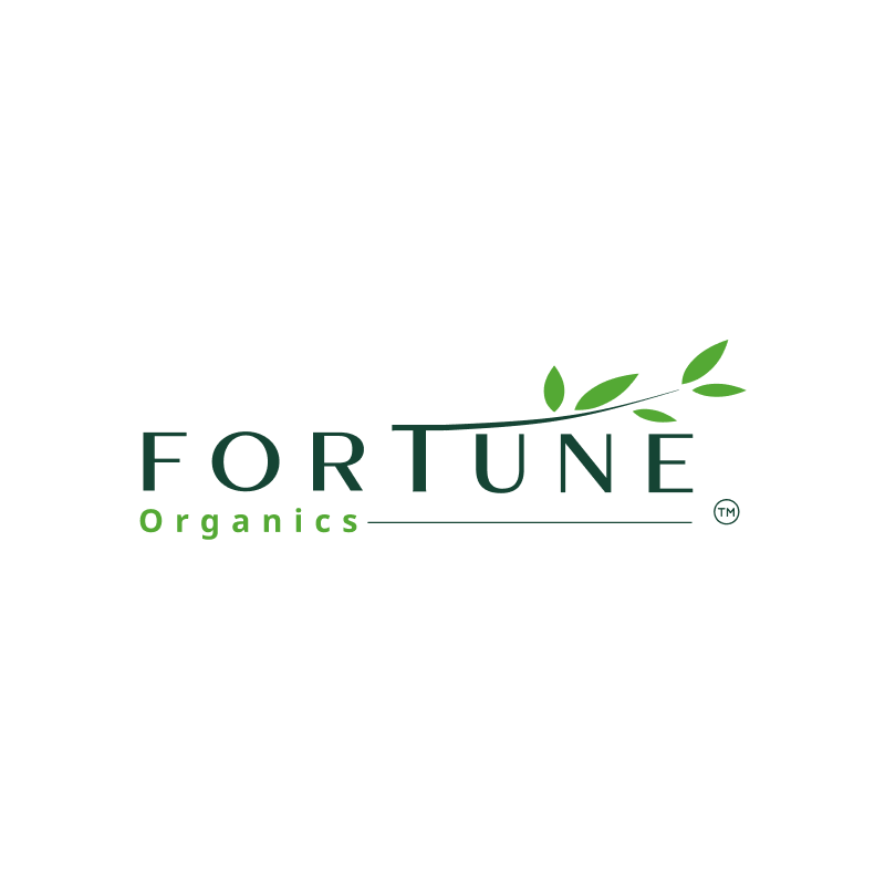 Brand logo design.
